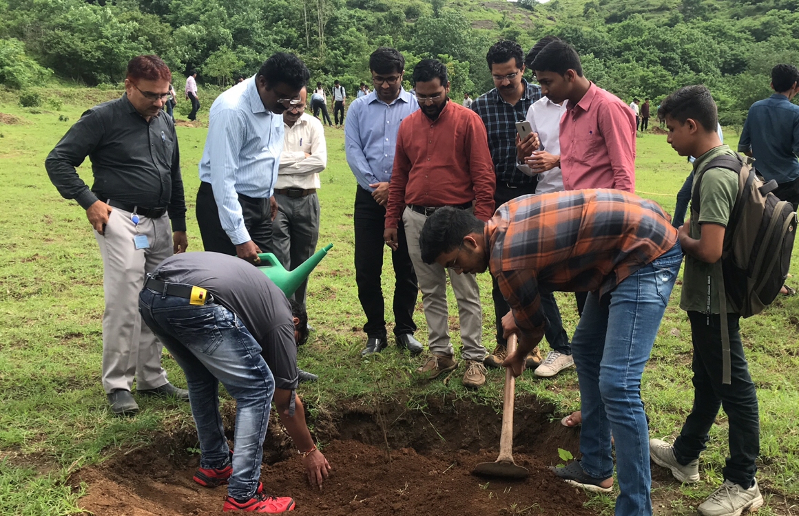 Tree Plantation Programme